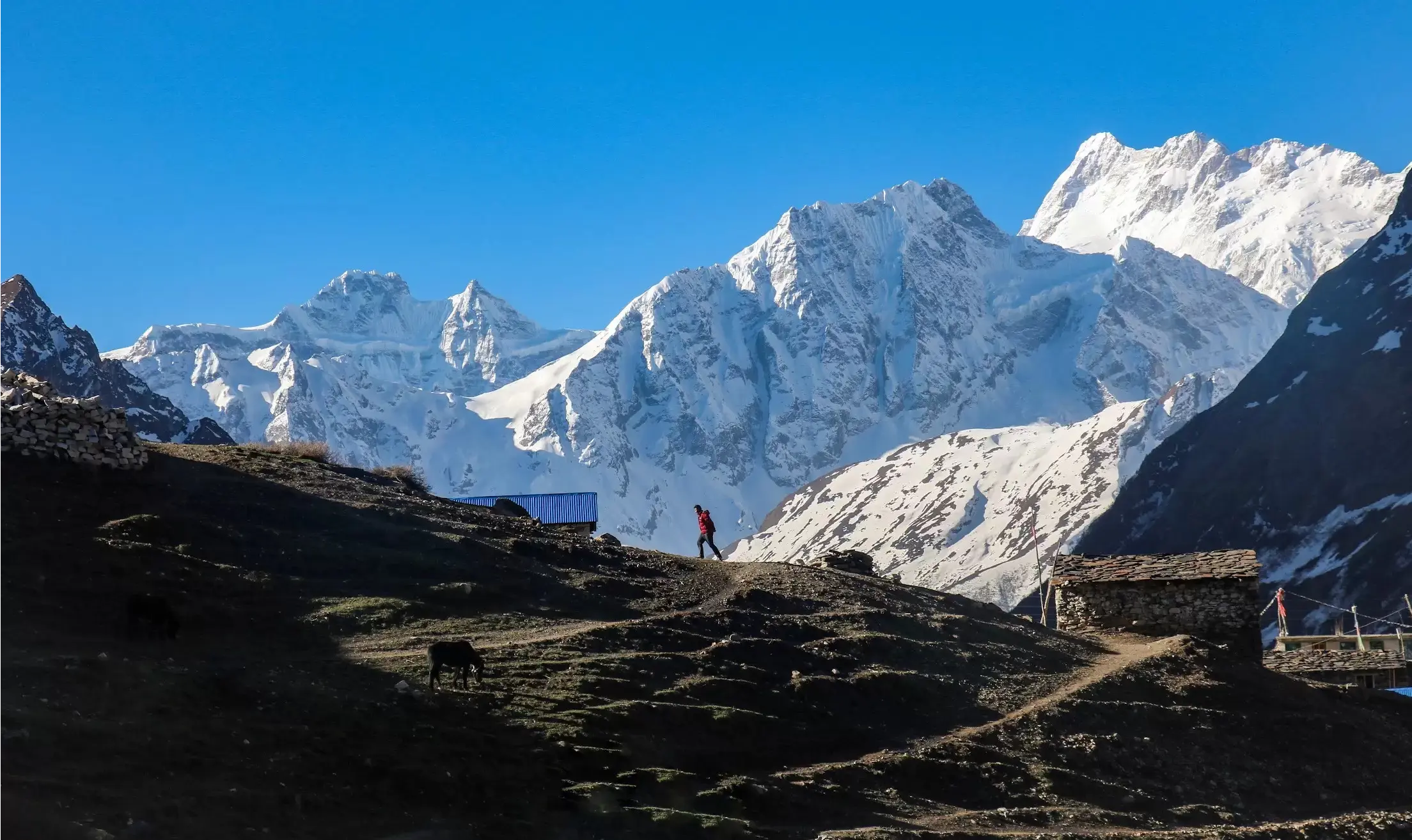 Треккинг вокруг Манаслу
